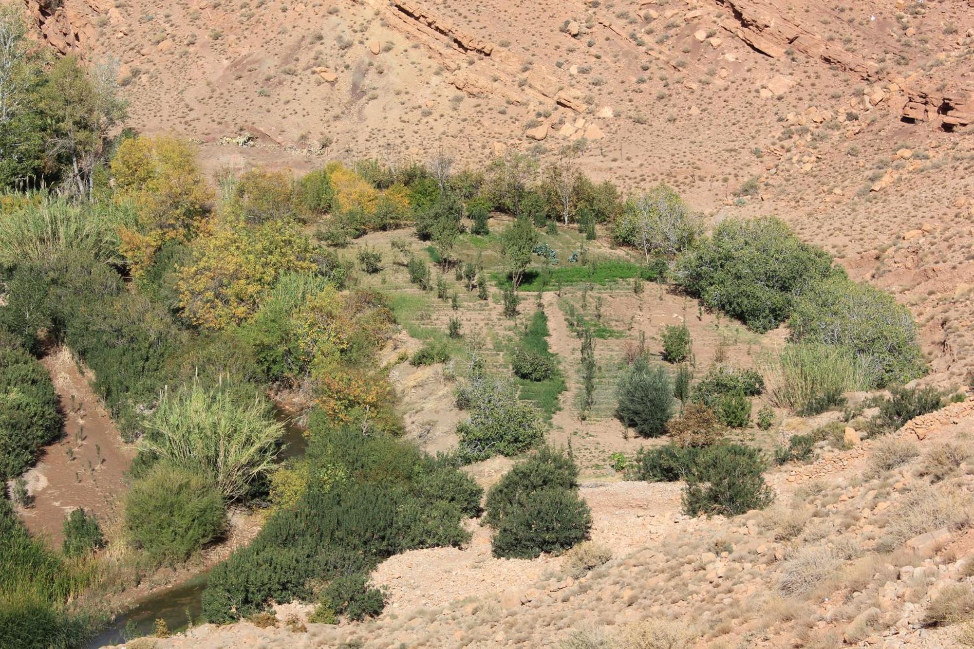 Akhendachou n'Ait Ouffi Kasbah Lucasホステル エクステリア 写真
